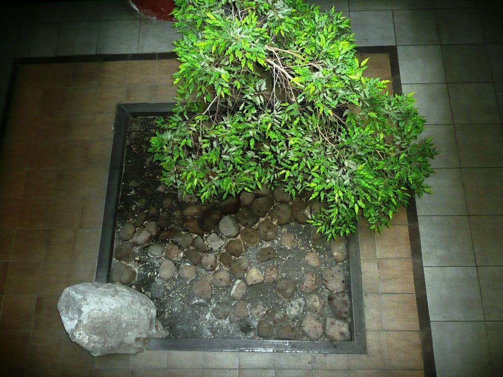Like Home Apartments - 2 Rooms With Balcony Вильнюс Экстерьер фото